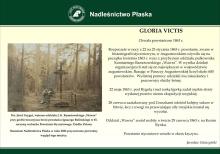 Leśnicy, żołnierze i samorządowcy uczcili pamięć polskich powstańców przy ich zbiorowej mogile na terenie Nadleśnictwa Płaska